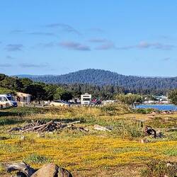 Unser Standplatz in Crescent City ...