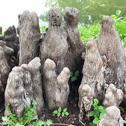 Tierische Ähnlichkeiten sind nicht auszuschließen 🥰