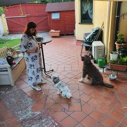 Oskar und Szola folgen für ein Leckerli
