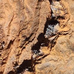 Fibres of the asbestos