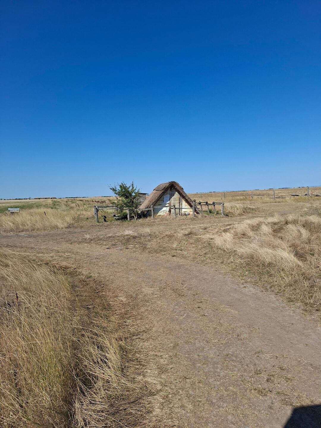 Hirtenhütte