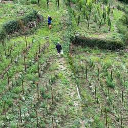 Da suchen zwei einen Geocache