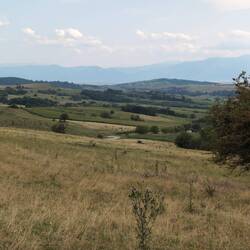 Unten sieht man die Straße