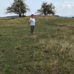 Maus in freier Wildbahn 🥰