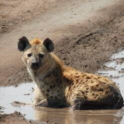 Abkühlung gefällig