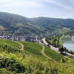 Der Blick auf Senheim.