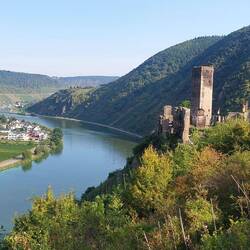 Burg Metternich