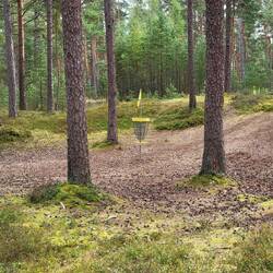 Wie soll man da den Korb treffen?