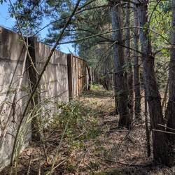 Im Wald gibt es noch umfangreiche DDR-Relikte: Mauern, Zäune, Postenwege