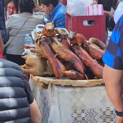 Cuy, Meerschweinchen. Ich habe es nicht probiert🙃