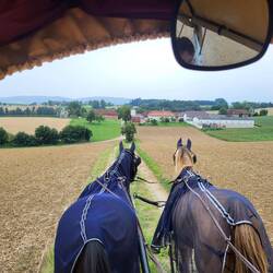Was runter geht, müssen wir auch später wieder rauf...