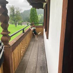 Mo guckt auch was alles so abgeht