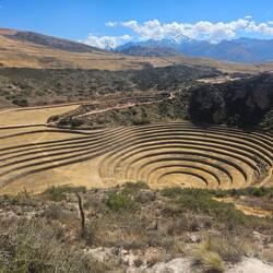 Moray, Landwirtschaft / Pflanzen auf verschiedenen Stufen