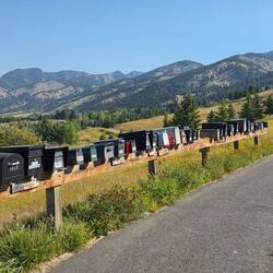 Hilltop mailboxes like bird boxes