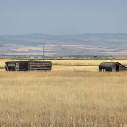 Appears to be century old field houses