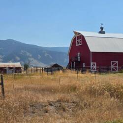 Barn