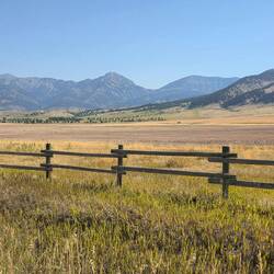 Roaming Elk Ranch, no elk were observed at this time.