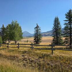 Roaming Elk Ranch, no elk were observed at this time.
