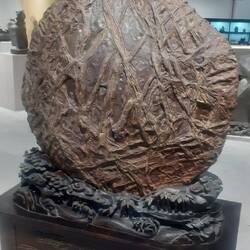Und auch Platz für die Lagerung wertvoller Fossilien