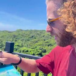 'Land on me, when you're not strong' - Dan serenading this beetle