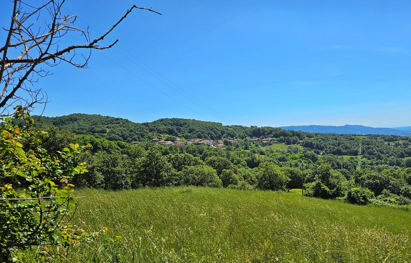 Petricci aus der Ferne