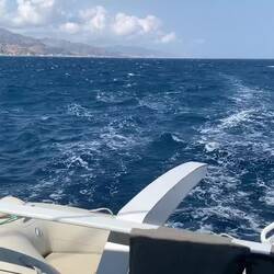 Der Wind hat etwas aufgefrischt! 💨