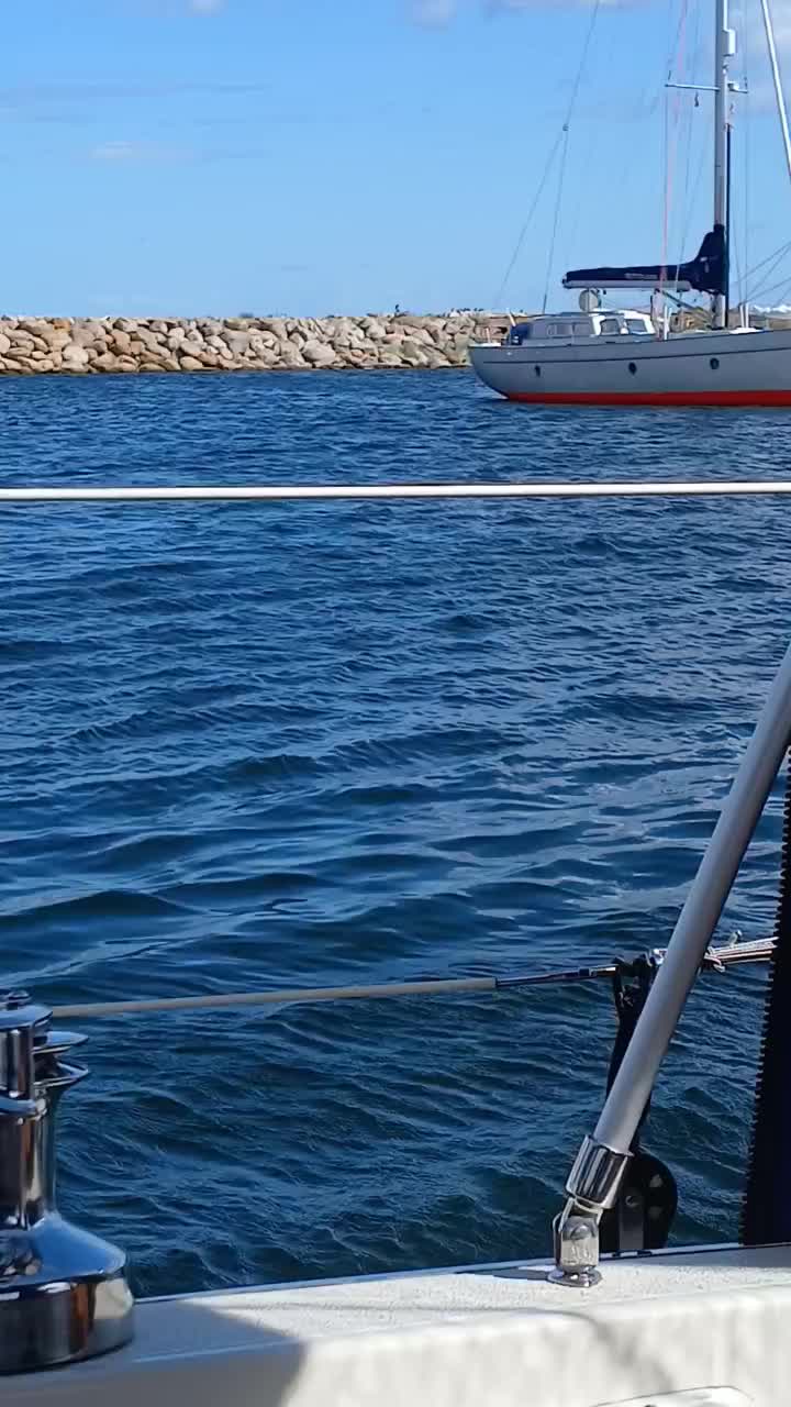 Büschen Wind