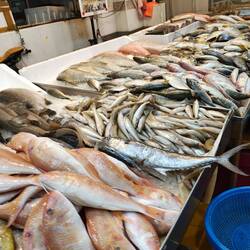 The wet market was still going