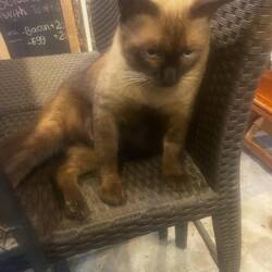 We stole its bed. Reclaimed ASAP