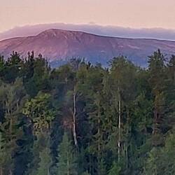 Guten Morgen, am Sonfjället..