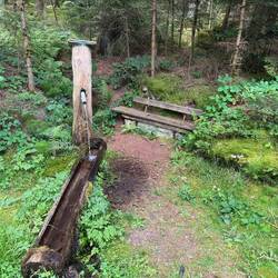 Auslass vom Trinkwasserspeicher im Wald