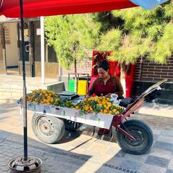 .. e venditrice di limoni 🍋