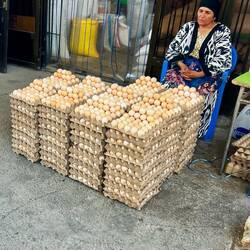 Venditrice di uova 🥚 ..