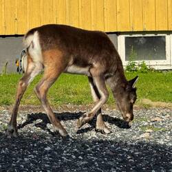 Greta. So besonders.