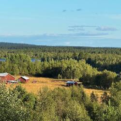 Welch ungewohntes Bild im Sommer.