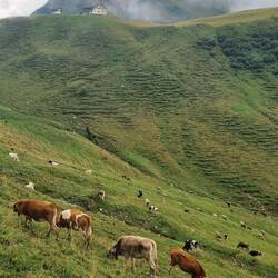 ... mit der Biberacher Hütte.