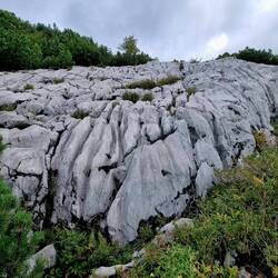 Typisches Karstgestein!