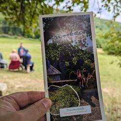 Die Traumschleife ist in der Nähe von Morbach zu finden.