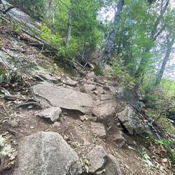 Wieder eine Gipfelbesteigung- white horse trail in dem White mountain Forest.