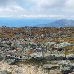 Ein weiteres "Muss": Mt Washington höchster Berg in New Hamshire. Hochfahrt bei Sonne gestartet