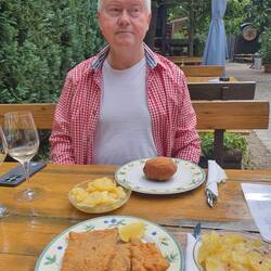 Wels gebacken und Fleischlaberl