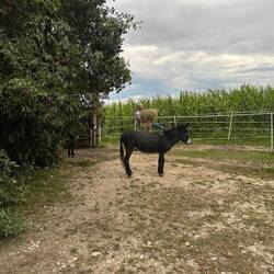 Die heutigen Nachbarn