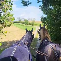 Mal wieder flott den Berg hoch