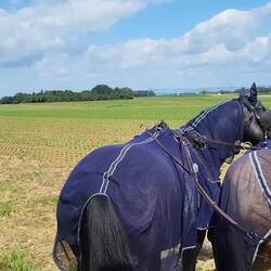 Wendung auf dem Matsch-Weg
