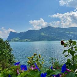 immer wieder fantastische Ausblicke auf den Vierwaldstättersee