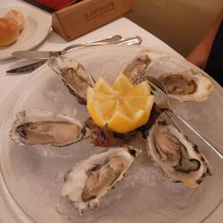 Gefolgt von einem phantastischen Essen