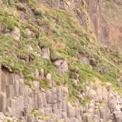 Puffins!!!