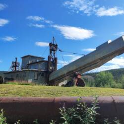 "Pedro Gold Dredge" - "Chicken Dredge"