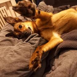 Abschiedskuscheln....