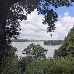 Blick über den Wannsee
